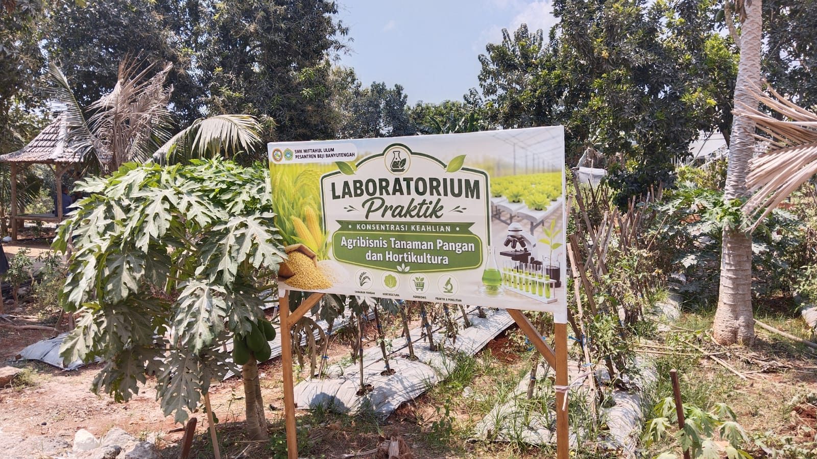 Kebun ATPH 